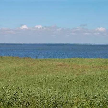 Lyngvejen Vi